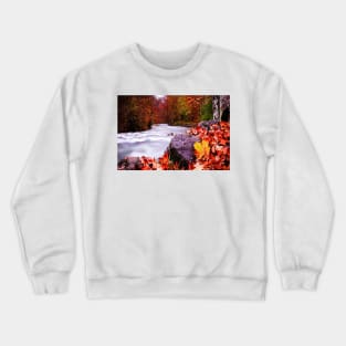 Autumn Flow Crewneck Sweatshirt